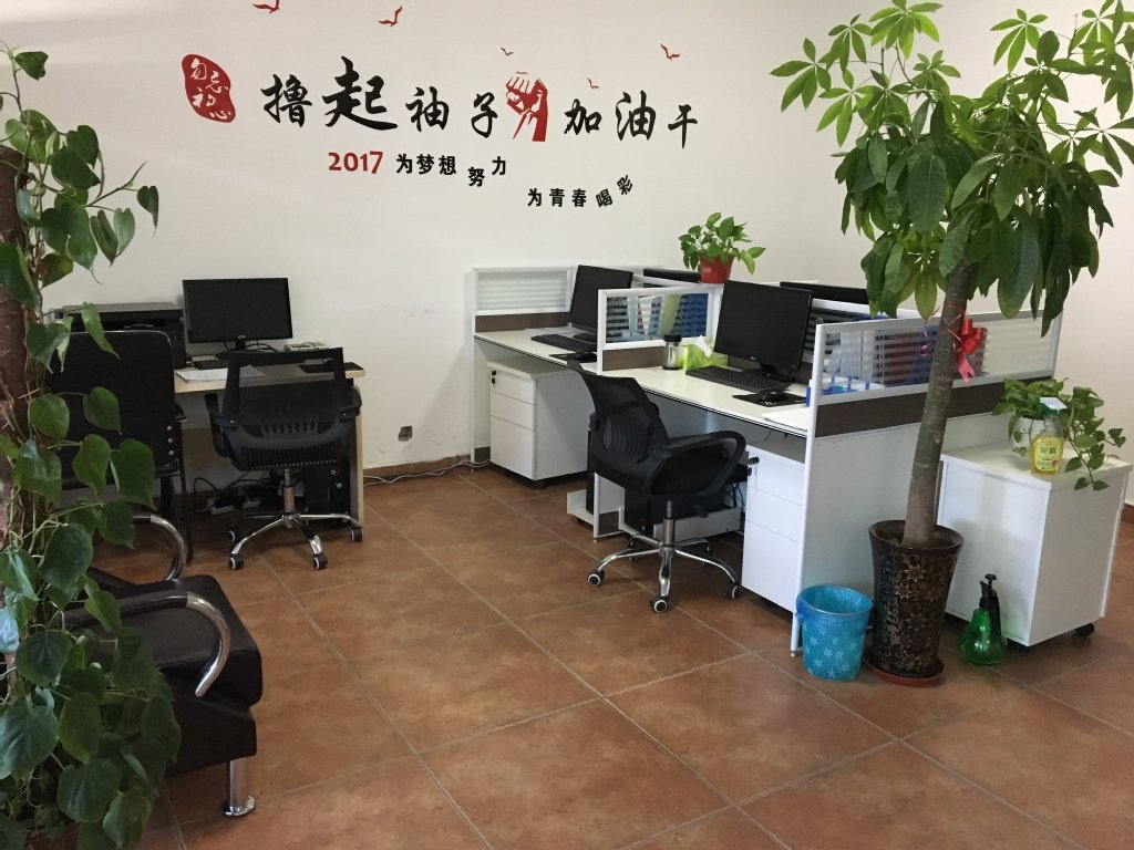 河南鑫鼎工程咨詢 財(cái)務(wù)咨詢的專(zhuān)業(yè)之選